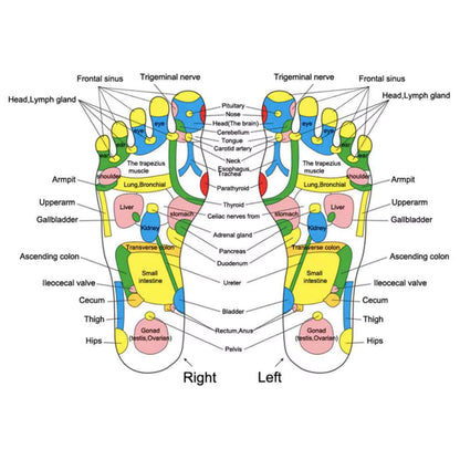 Transform Your Well-Being with the HRIZN Acupuncture Foot Massage Blanket – Boost Immunity and Elevate Your Relaxation Experience!